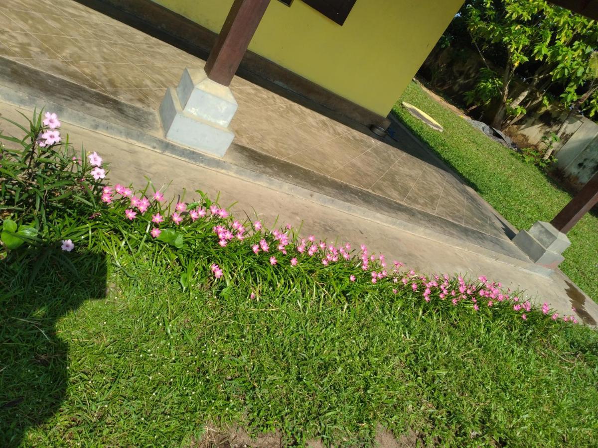 Olivia Bungalow Wattala Exterior foto